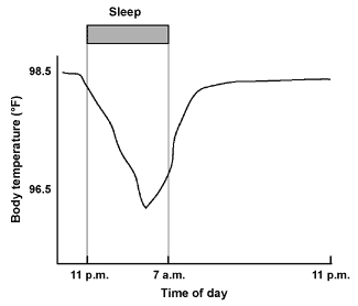 Your body temperature is lower during the night