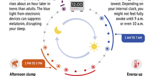 Circadian rhythm cycle of a typical teenager. Credit: NIGMS.