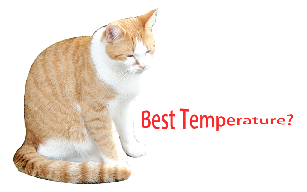 What is the best temperature for your pets?